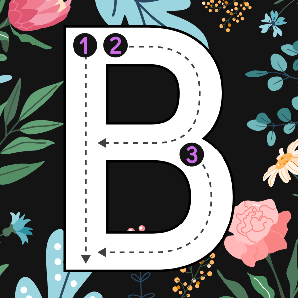 Traceable ABC Letters for Kids 2x2