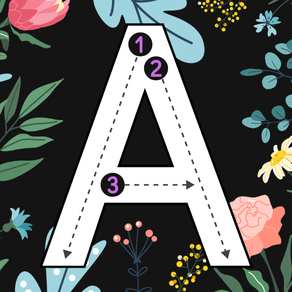 Traceable ABC Letters for Kids 2x2